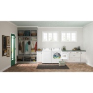 Picture of Amana by Whirlpool White 7.0 CF Dryer