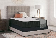 Picture of Limited Edition Firm Twin Size Mattress & Low Profile Boxspring