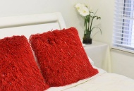 Picture of SHAGGY RED PILLOW